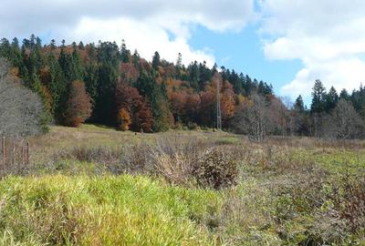 Predeal-Teren intravilan situat in Paraul Rece - 5