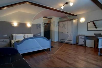 Hotel/Pensiune, de 600 mp, în Ultracentral - 4