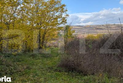 Teren de 1000 mp, în Ighiu - 2