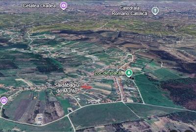 Teren de 1100 mp, în Paleu - 3