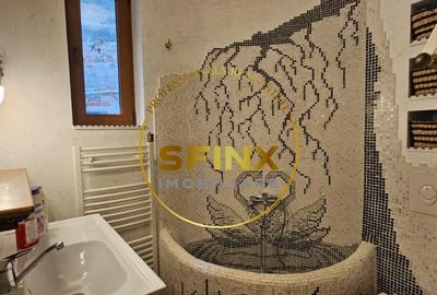 Apartament cu 2 camere semidecomandat, mobilat în Parcul Carol - 8