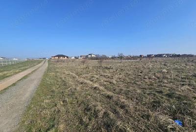 Teren de 660 mp, în Șag - 5