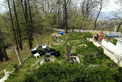 Proprietate Breaza de vis , zona de vis , prezentarea agentului , de vis Proprietate Breaza de vis , zona de vis , prezentarea agentului , de vis - 28