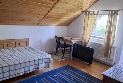 Casă cu Teren 600 Mp în Valea Lupului - 13