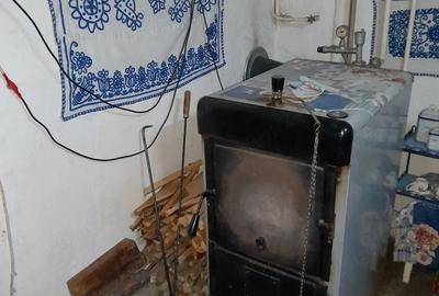 Casă cu 9 camere cu Teren 7500 Mp în Central - 2