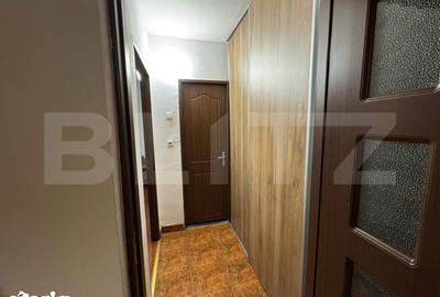 Apartament cu 3 camere semidecomandat, mobilat în Brazda lui Novac - 3