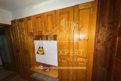 APARTAMENT 2 CAMERE PARTER VI?OI CAMPULUNG - 34