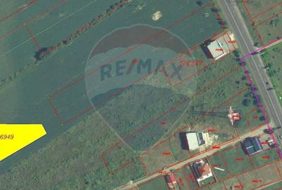 Teren Construcții intravilan de 3187 mp, în Nufărul - 2