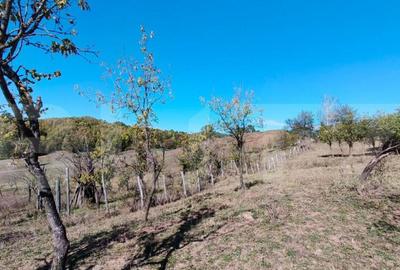 Teren de 7382 mp, în Central - 7