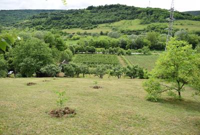 Teren de 3000 mp, în Fizeșu Gherlii - 7