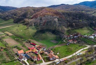 Teren partial intravilan 2,984mp Baru ,jud.Hunedoara - 7