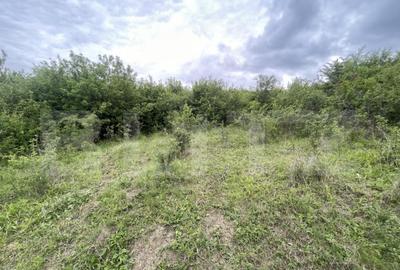 Teren extravilan 5200 mp Budacul de Jos- Investi?ie ex - 2