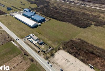 Teren de 7194 mp, în Carașova - 10