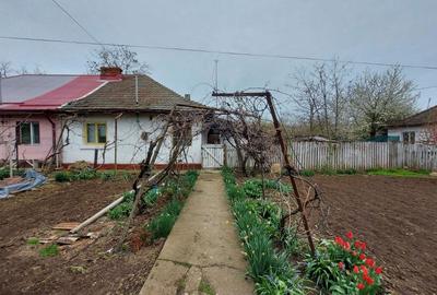 Casă cu 3 camere în Ciocănești - 8