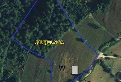 Teren de 17278 mp, în Horea - 2