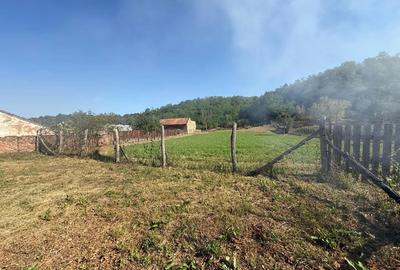 De vanzare Casa + Teren 3151m2 - 6