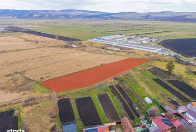 Spațiu comercial, în Bod - 11