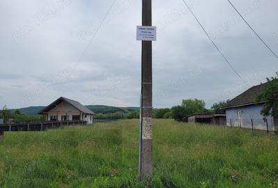 Teren în Țițești - 6