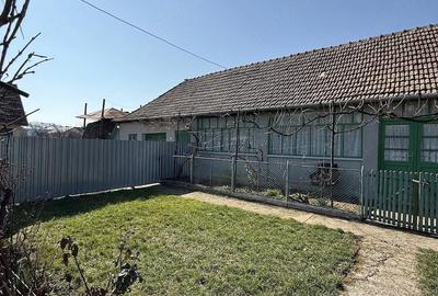 Casă cu Teren 1309 Mp în Carani - 3