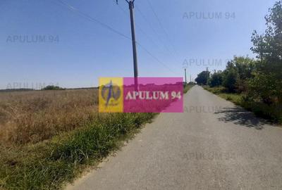 Teren Construcții intravilan de 1300 mp, în 1 Decembrie - 12