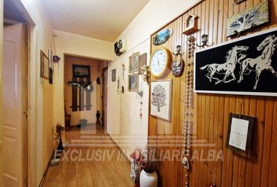 Apartament cu 3 camere semidecomandat în Cetate - 5