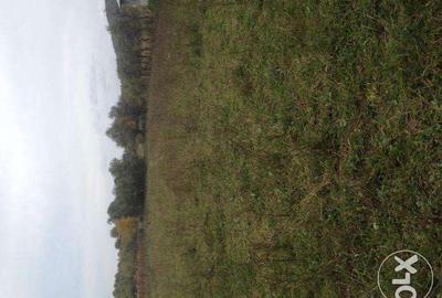 Teren de 12000 mp, în Pociovaliștea - 6