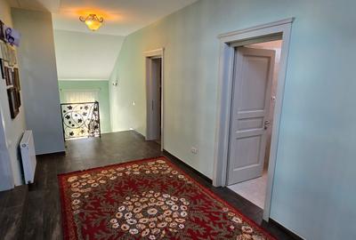 VILA LUX DE VANZARE -PANCIU-STRAOANE - 44