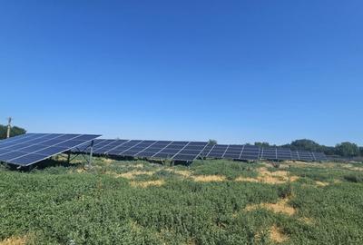 Proprietate agroindustriala, hala 1590 mp, teren 28000 mp, p - 3