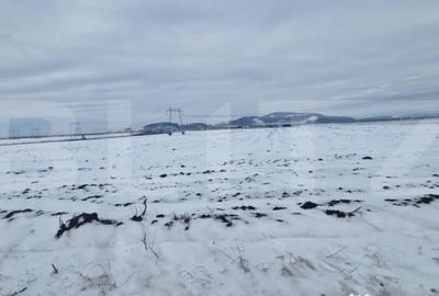 Teren de 11620 mp, în Hărman