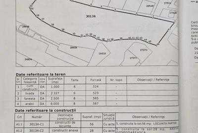 Teren de 12000 mp, în Păulești - 5