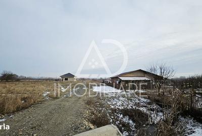 Teren de 1275 mp, în Turcinești - 4