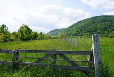 Teren 2,486mp Sighetu Marmatiei / Strada Constantin Dobrogeanu-Gherea - 4