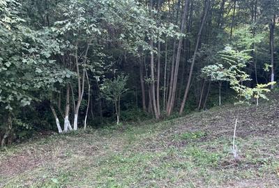 Casa situata intr-o zona superba Casa situata intr-o zona superba - 9