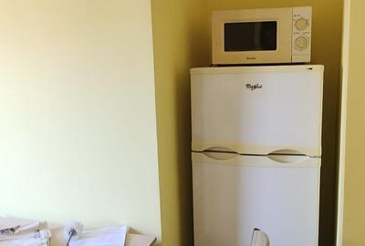 Apartament cu 2 camere semidecomandat în Griviței - 5