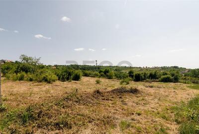 Teren de 1200 mp, în Paleu - 2