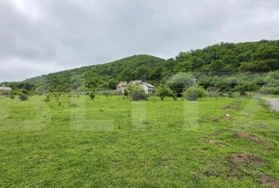 Teren intravilan de vanzare, 14,5 ari, zona Sud-Bistrita - 3