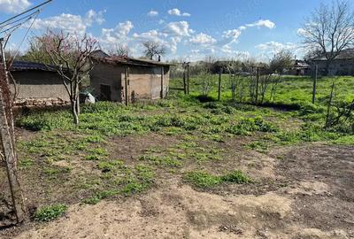 Casa de vanzare Casa de vanzare - 4