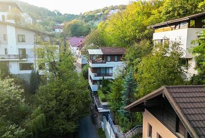 FILM&3D! Resedinta notabila, in pretiosul areal:Drumul Poienii,Centru Istoric Me - 46