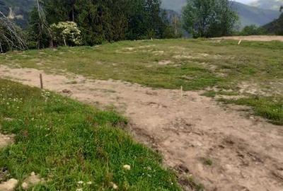 Teren de 25000 mp, în Șugag - 2