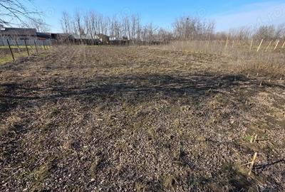 Casă cu 3 camere în Tudor Vladimirescu - 5