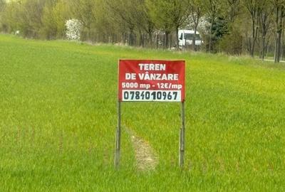 Teren de 5000 mp, în Valea Călugărească - 6