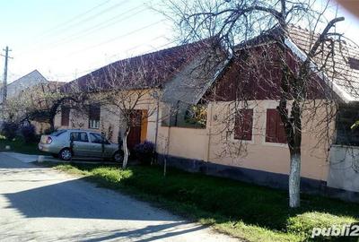 Casă cu 5 camere cu Teren 20142 Mp în Gladna Română - 5