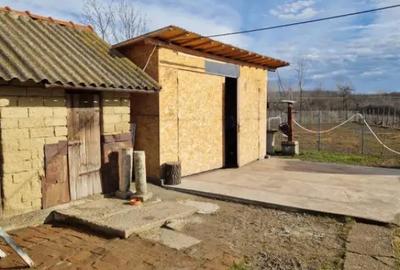 Casă cu 2 camere cu Teren 1686 Mp în Central - 8