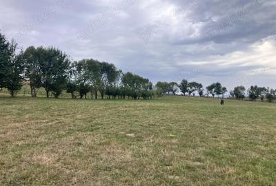 Teren de 3880 mp, în Cheia - 9