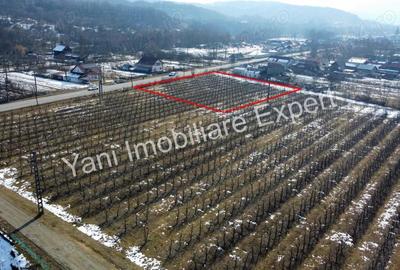 Teren de vanzare in comuna Mu?ate?ti, jude? Arge?. - 10