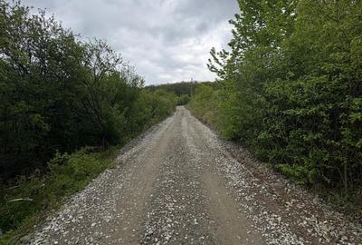 Teren agricol extravilan de 2900 mp, în Periferie - 6