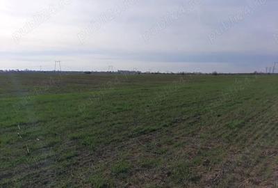 Teren de 18000 mp, în Ciorogârla - 4
