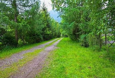 In cartea de povesti a Pietrei Craiului, ansamblu turistic in circuit,Plaiul Foi - 5