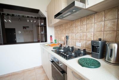 Apartament cu 2 camere nedecomandat, mobilat în Universitate - 7