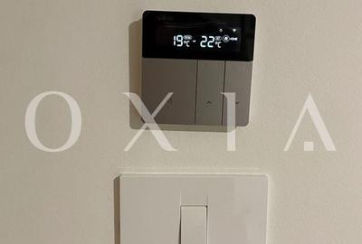 AX1146 Lipovei, Certificat Green Homes, Preluare Business - 12